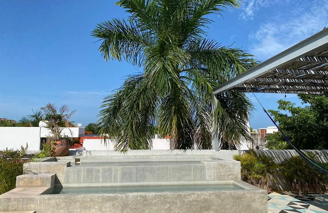 Studios Downtown Cancun-1