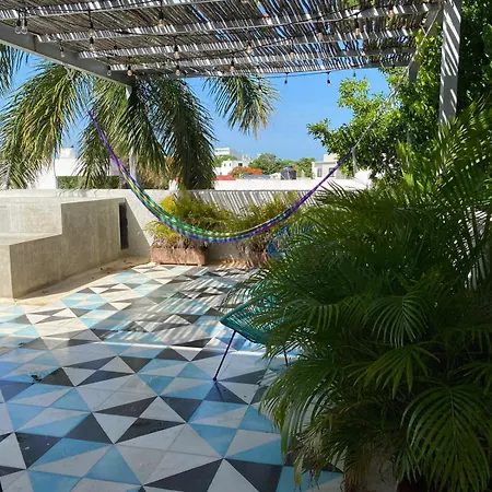 Studios Downtown Cancun-3
