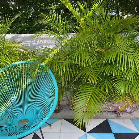 Studios Downtown Cancun-2
