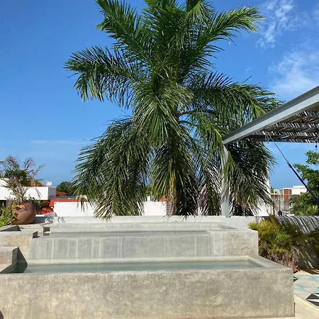 Studios Downtown Cancun-2